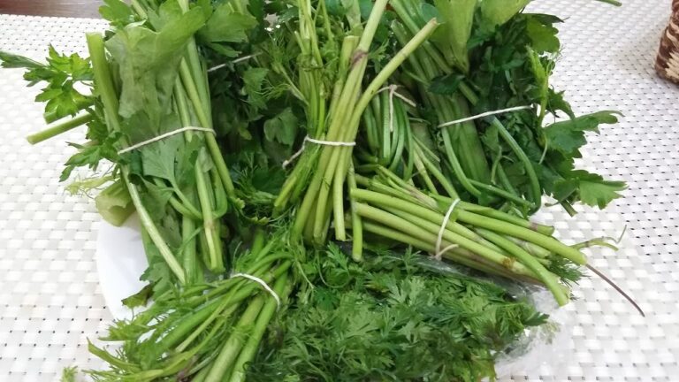 Especias Esenciales en las Sopas de la Cocina Gujarati