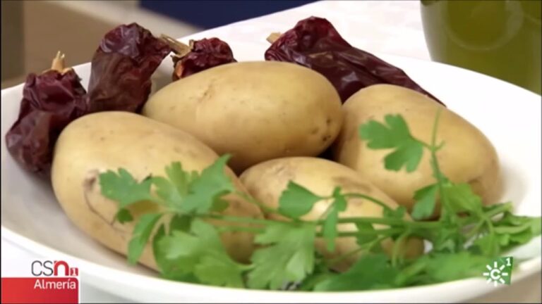 Sabores Aut&eacute;nticos: Recetas de la Cocina Gujarati