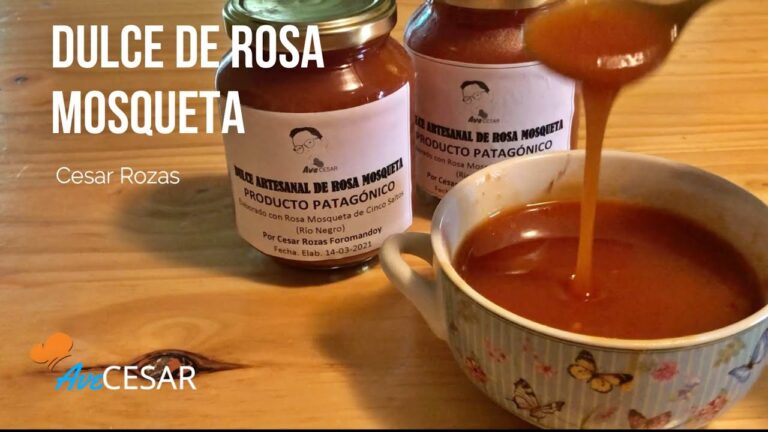 Preparaci&oacute;n Ind&iacute;gena de T&eacute; de Rosa Mosqueta