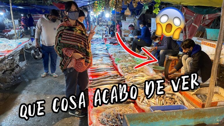 Delicias Marinas: Recetas Tradicionales de Mariscos en la India