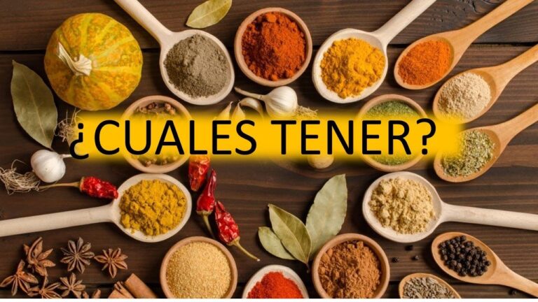 El Arte de Usar Especias en la Cocina Tamil