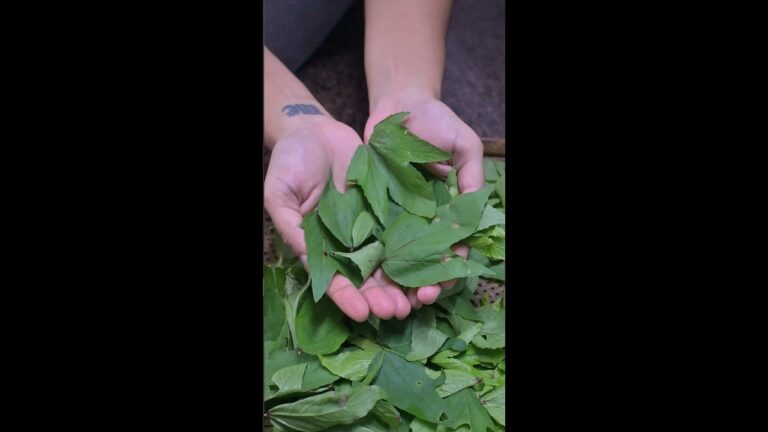 Marinados T&iacute;picos de Maharashtra: Sabores y Tradiciones