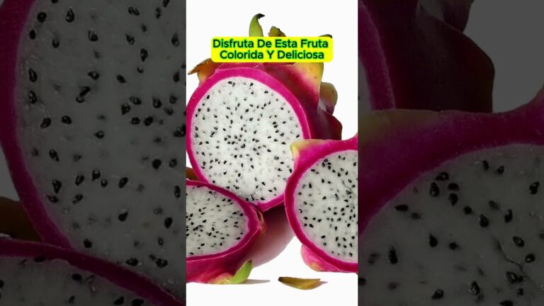 Descubriendo Sabores Ex&oacute;ticos en los Postres de Maharashtra