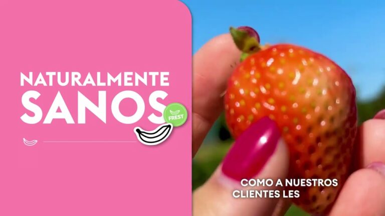 Descubre las Bebidas Ex&oacute;ticas de la Cocina Tamil