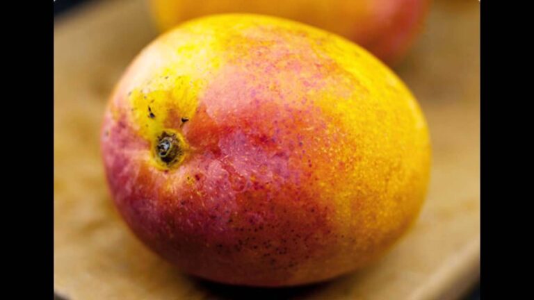 Aromas de la India en el Chutney de Mango Gooso