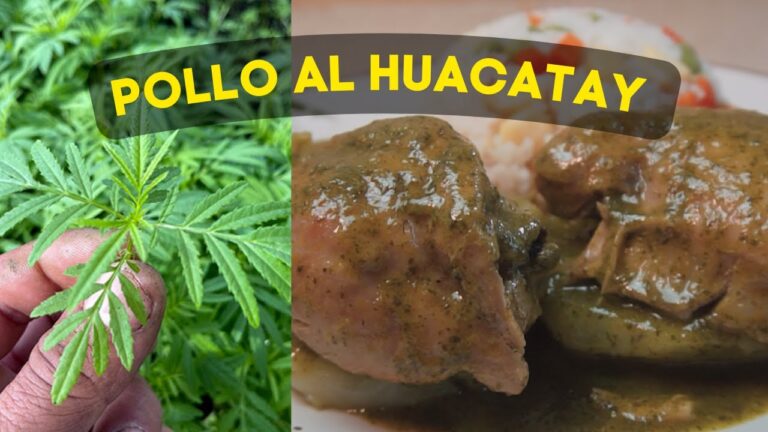 Descubre la Magia del Paneer en tu Cocina