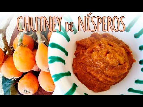 Chutneys Tradicionales para Realzar tus Platos