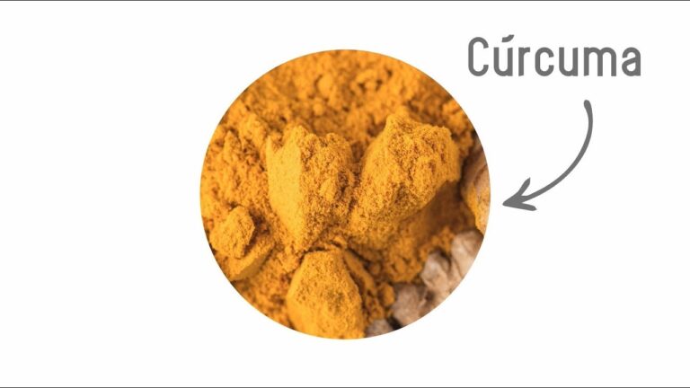Delicias Culinarias: La Experiencia Gastron&oacute;mica de la Limonada de C&uacute;rcuma