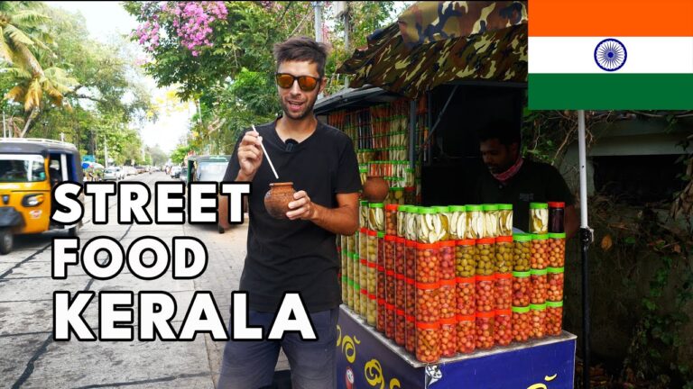 Explorando los Aromas de la Comida Callejera de la India