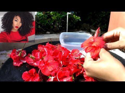 Desayunos Indios: Innovación en la Cocina